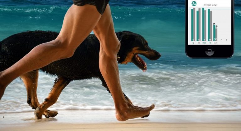 Perro y dueño entrenando en la playa