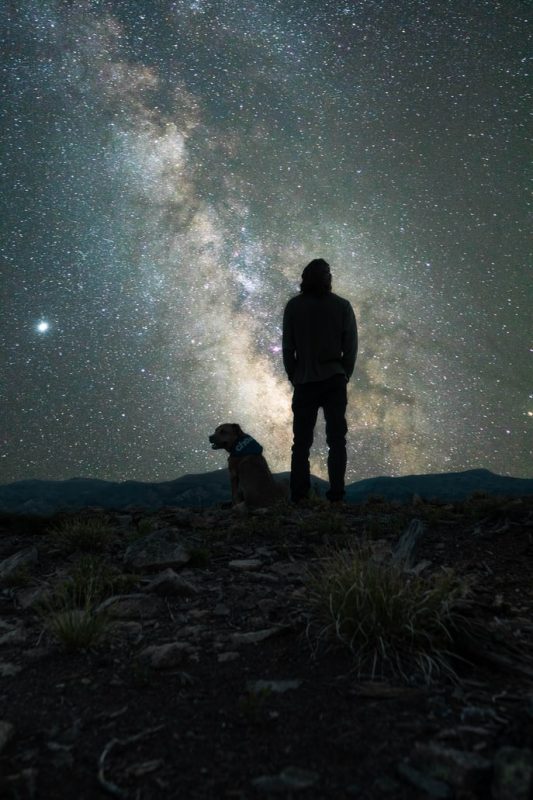 perro y dueño mirando a las estrellas